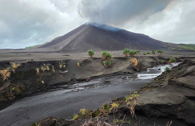 Glowing view tree house and Bangalow - Photo 37