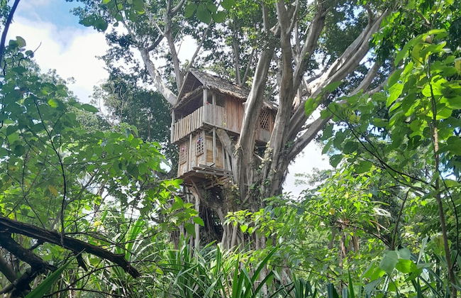 Glowing view tree house and Bangalow - Photo 43