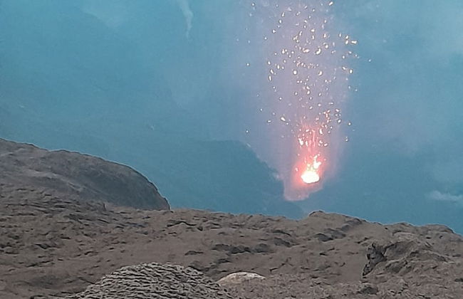 Glowing view tree house and Bangalow - Photo 23