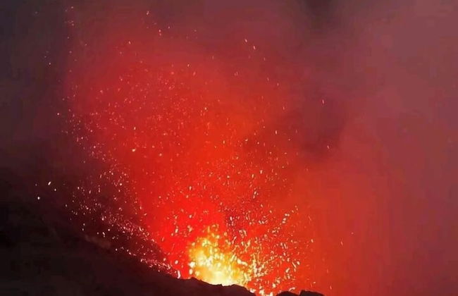 Glowing view tree house and Bangalow - Photo 21