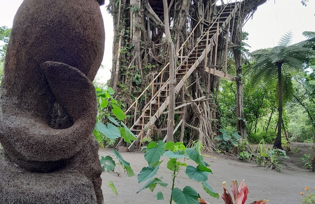 Glowing view tree house and Bangalow - Photo 1