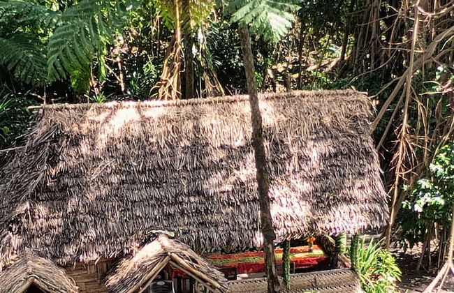 Glowing view tree house and Bangalow - Photo 26