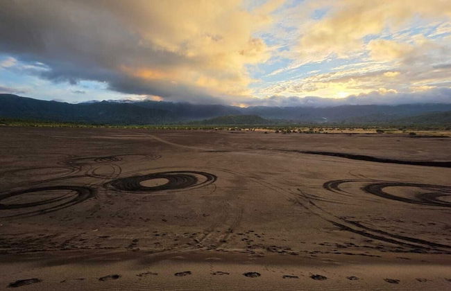 Glowing view tree house and Bangalow - Photo 10