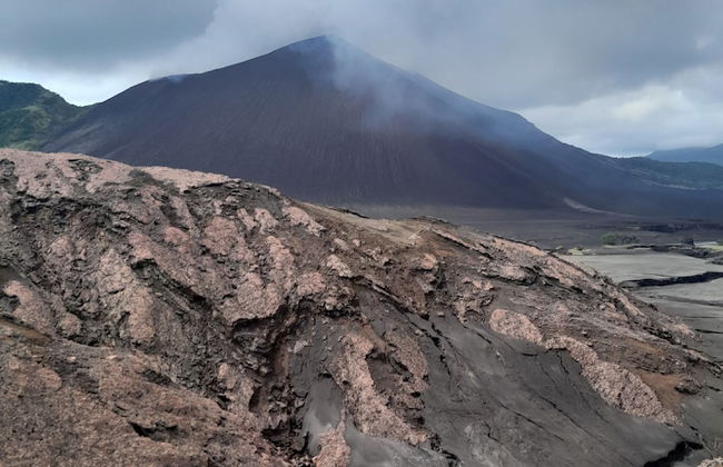 Glowing view tree house and Bangalow - Photo 15