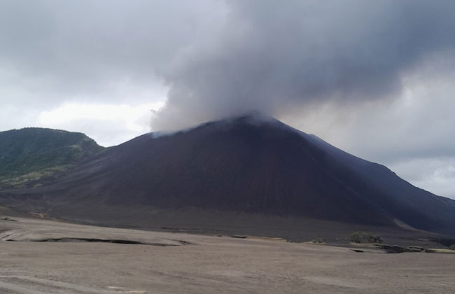 Glowing view tree house and Bangalow - Photo 36