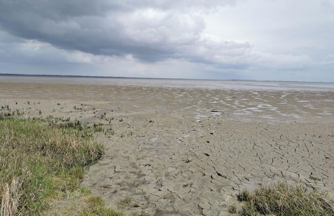 Haus in Nessmersiel am Wattenmeer - Photo 21
