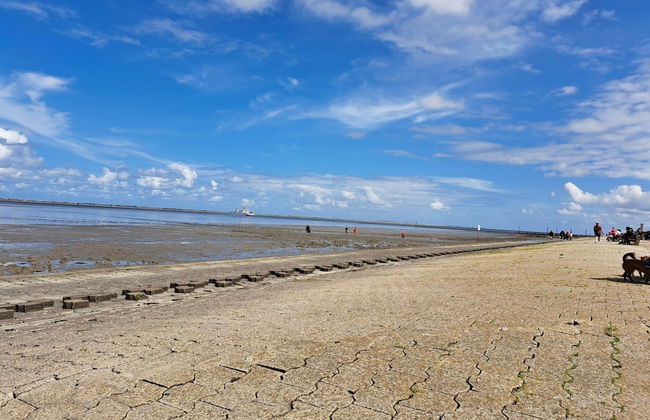 Haus in Nessmersiel am Wattenmeer - Photo 18