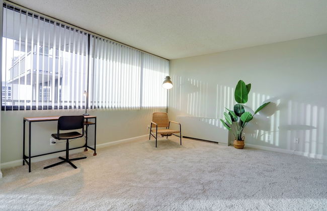 Modern Spacious Apt Crystal City - Foto 19