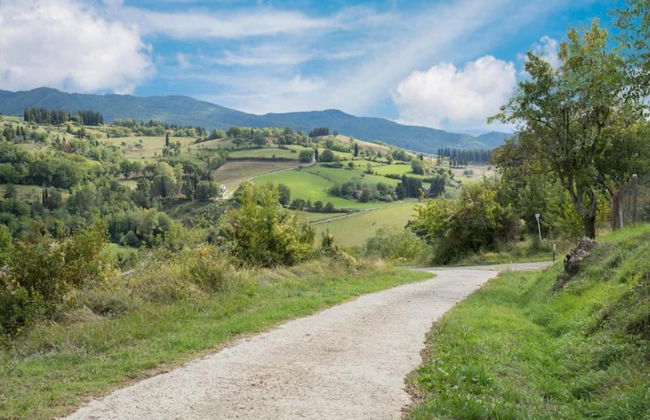 Holiday Home in Reggello - Foto 33