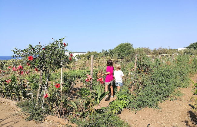 Agriturismo Hibiscus - Foto 36