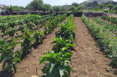 Photo 37 - Agriturismo Hibiscus