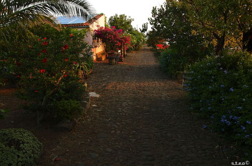 Foto 1 - Agriturismo Hibiscus