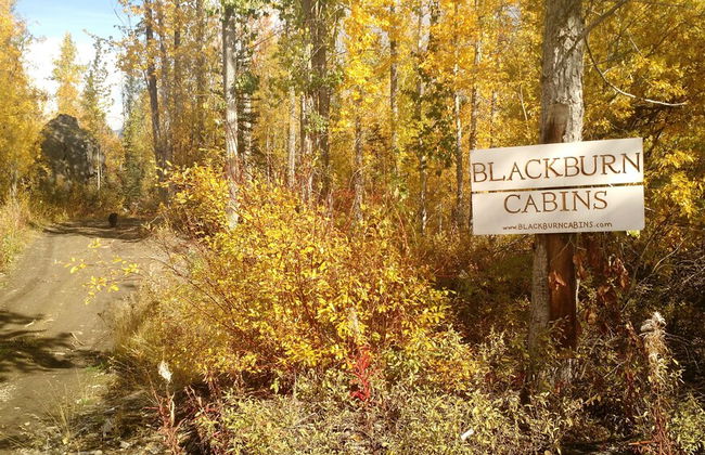 Blackburn Cabins - Foto 47