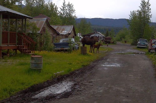 Photo 36 - Blackburn Cabins