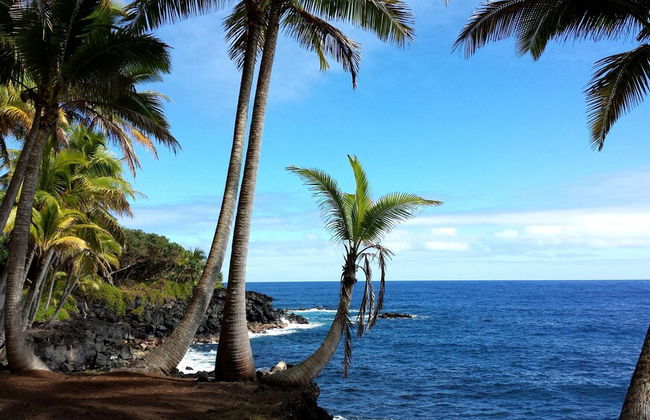 Hale Ki'i Maka Manu 4 Bedroom Home by RedAwning - Foto 16