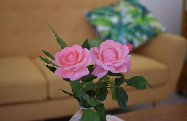 Flowery Inn Villa - Foto 53