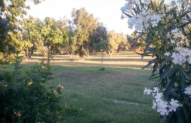 Agriturismo San Matteo - Foto 23