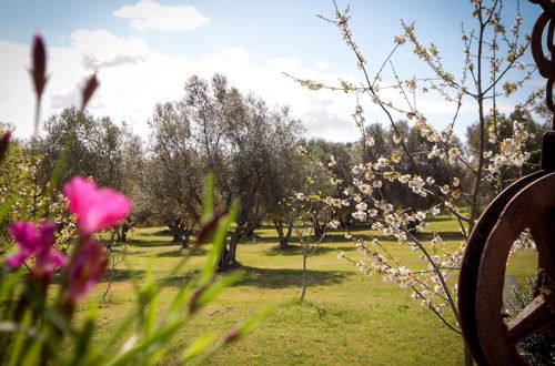 Foto 47 - Agriturismo San Matteo