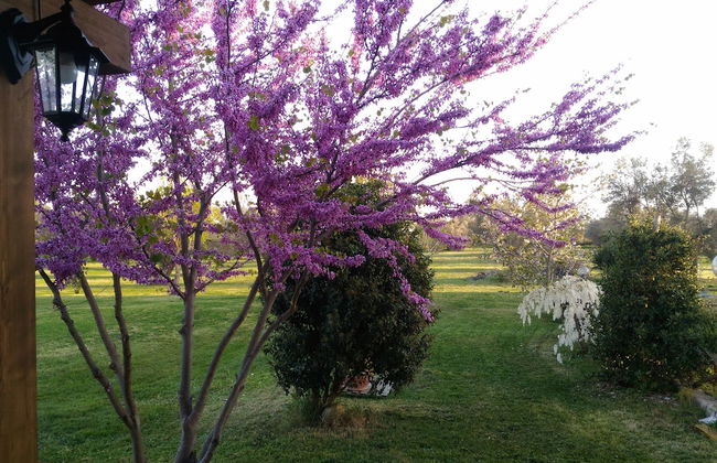 Agriturismo San Matteo - Foto 44