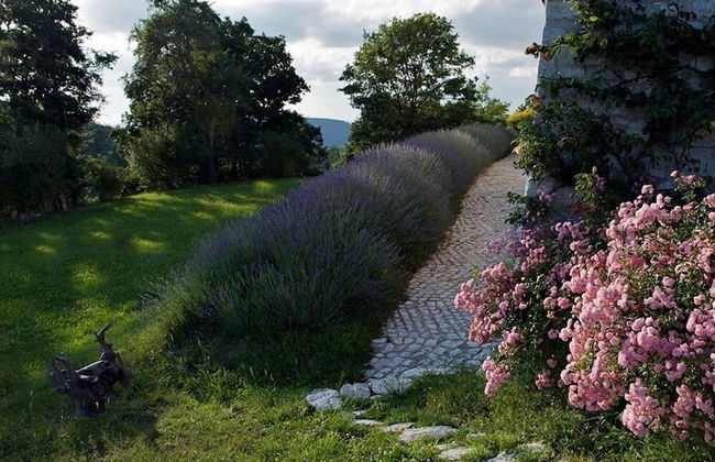 Borgo La Torre - Foto 34