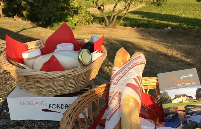 La Maison du Grand Four en Bourgogne, Au coeur de Vignes, Piscine et Sauna - Foto 40
