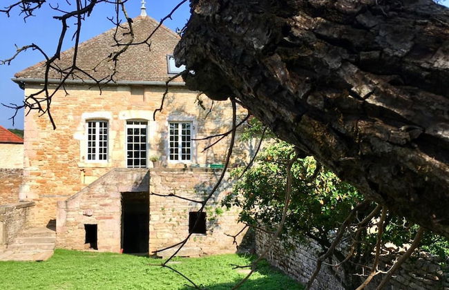 La Maison du Grand Four en Bourgogne, Au coeur de Vignes, Piscine et Sauna - Foto 45