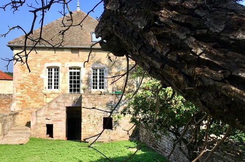 Photo 42 - La Maison du Grand Four en Bourgogne, Au coeur de Vignes, Piscine et Sauna