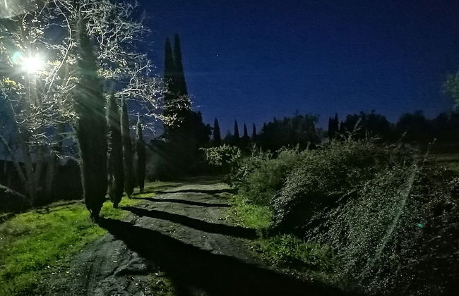 Podere Campovecchio - Photo 35