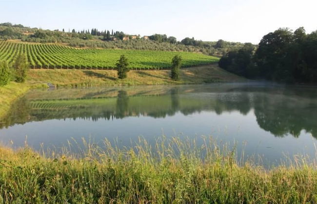 Podere Campovecchio - Photo 47