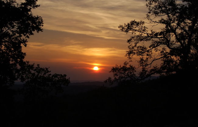 Podere Campovecchio - Photo 57