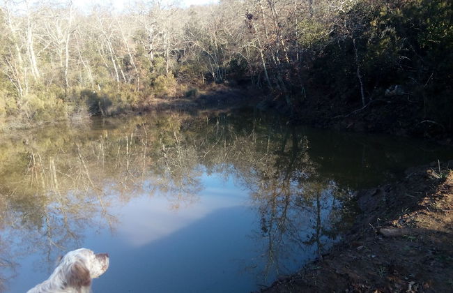 Podere Campovecchio - Photo 45