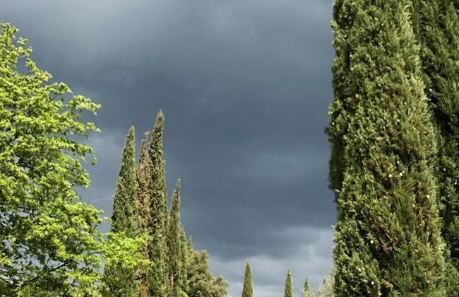 Podere Campovecchio - Photo 34