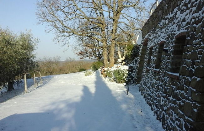 Podere Campovecchio - Photo 49