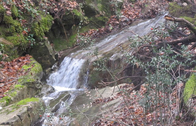 Podere Campovecchio - Photo 30