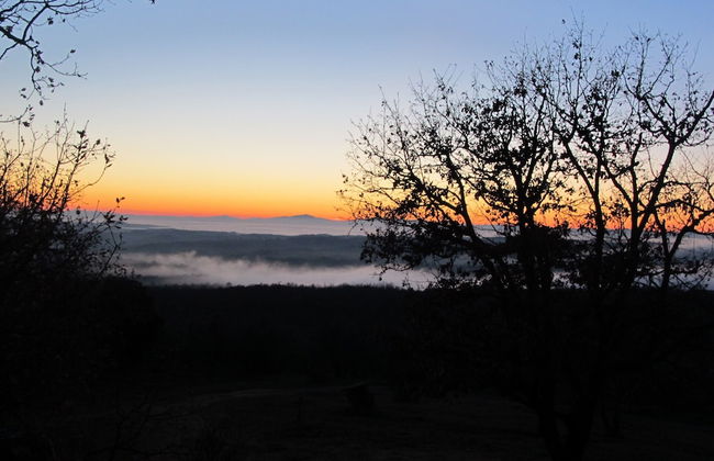 Podere Campovecchio - Photo 6