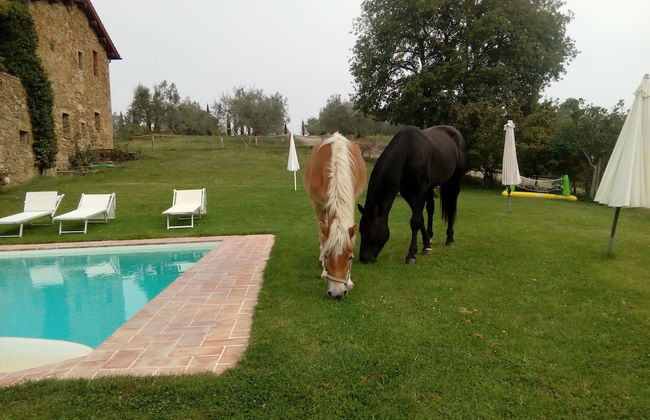 Podere Campovecchio - Photo 20