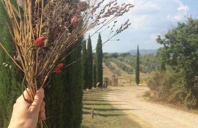 Podere Campovecchio - Photo 32