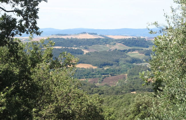 Podere Campovecchio - Photo 58