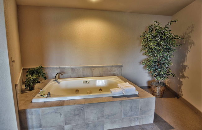 Unit 312 1 BD/ 1 BA Condo - Photo 10
