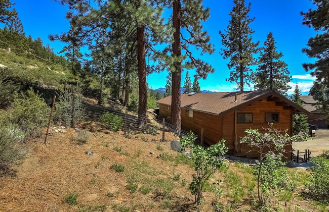 Altitude Adjustment Lodge - Foto 49
