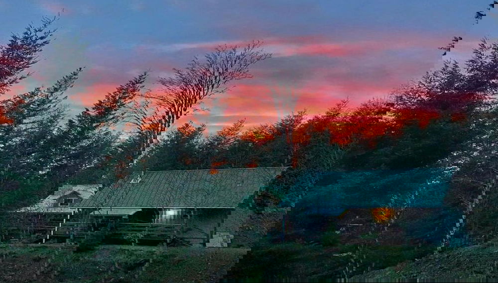Image principale