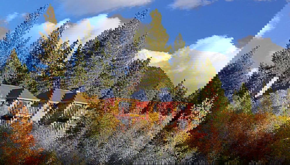 Primary image