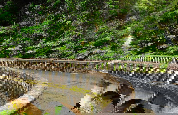 Kapalua Ridge Villas 1521 - Foto 58