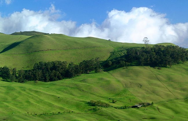 Kapalua Ridge Villas 1521 - Foto 57