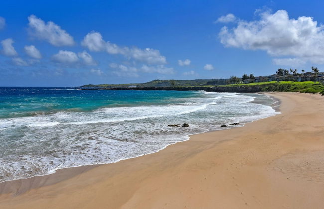 Kapalua Ridge Villas 1521 - Foto 45