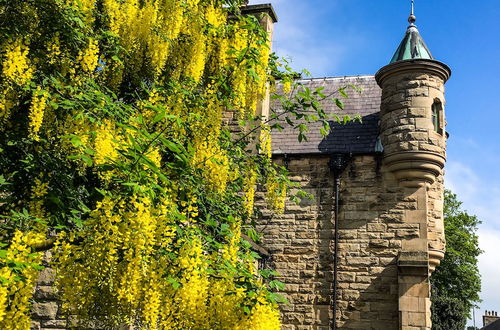 Photo 74 - The Five Turrets: Stay in Scotland in Style in a Historic Four-bed Holiday Home