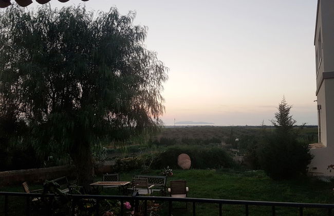 Agriturismo Vultaggio - Foto 47