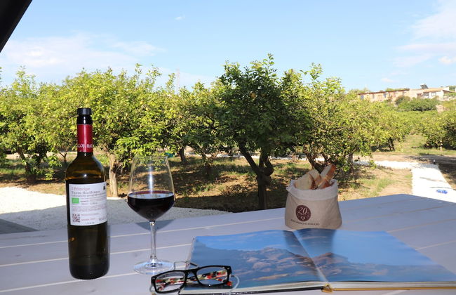 Agriturismo Vultaggio - Foto 49