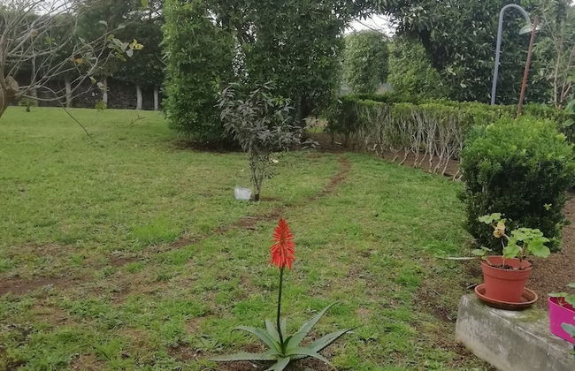 Quinta do Paraizo - Photo 31