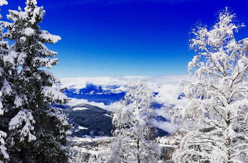 Photo 37 - VVF Les 7 Laux Massif de Belledonne, Prapoutel